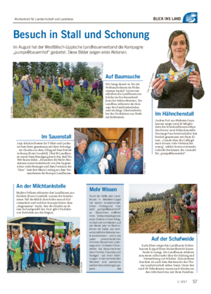 BLICK INS LAND Besuch in Stall und Schonung Im August hat der Westfälisch-Lippische Landfrauenverband die Kampagne „pumps@bauernhof“ gestartet.