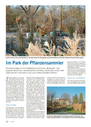 Wochenblatt für Landwirtschaft und LandlebenGARTEN Im Park der Pflanzensammler Die Gartenanlage von Gut Heidefeld lockt mit einem „Winterwalk“.