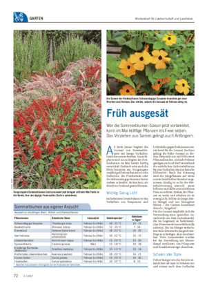 Wochenblatt für Landwirtschaft und LandlebenGARTEN Früh ausgesät Wer die Sommerblumen-Saison jetzt vorbereitet, kann im Mai kräftige Pflanzen ins Freie setzen.
