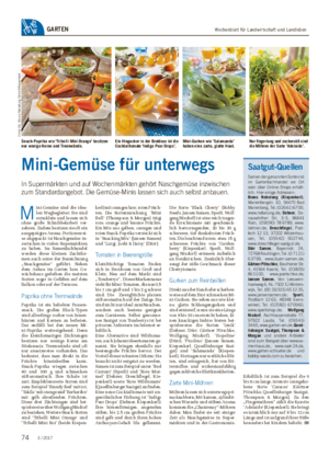 Wochenblatt für Landwirtschaft und LandlebenGARTEN M ini-Gemüse sind die idea- len Wegbegleiter: Sie sind extraklein und lassen sich ohne große Schnibbelarbeit ver- zehren.