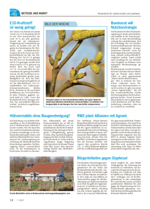Wochenblatt für Landwirtschaft und LandlebenBETRIEB UND MARKT Allergiker spüren es: Die Haselsträucher blühen.