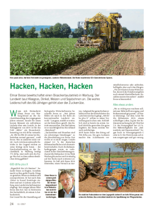 Wochenblatt für Landwirtschaft und LandlebenFRÜHJAHRSBESTELLUNG RÜBEN Hacken, Hacken, Hacken Elmar Besse bewirtschaftet einen Bioackerbaubetrieb in Warburg.