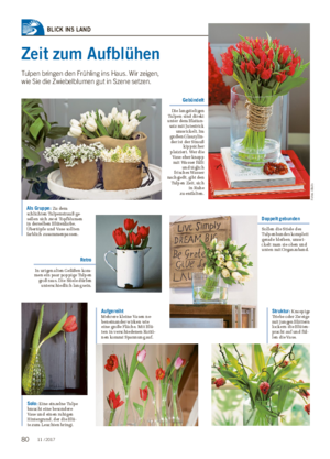 Wochenblatt für Landwirtschaft und LandlebenBLICK INS LAND Zeit zum Aufblühen Tulpen bringen den Frühling ins Haus.