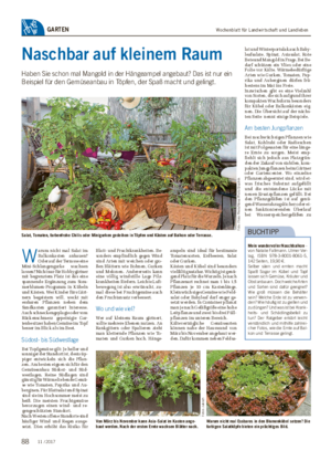 Wochenblatt für Landwirtschaft und LandlebenGARTEN Naschbar auf kleinem Raum Haben Sie schon mal Mangold in der Hängeampel angebaut?