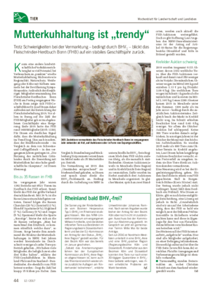 Wochenblatt für Landwirtschaft und LandlebenTIER Mutterkuhhaltung ist „trendy“ Trotz Schwierigkeiten bei der Vermarktung – bedingt durch BHV1 – blickt das Fleischrinder-Herdbuch Bonn (FHB) auf ein stabiles Geschäftsjahr zurück.