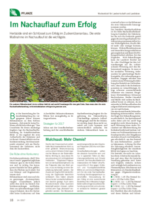 Wochenblatt für Landwirtschaft und LandlebenPFLANZE Im Nachauflauf zum Erfolg Herbizide sind ein Schlüssel zum Erfolg im Zuckerrübenanbau.