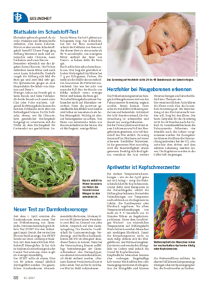 Wochenblatt für Landwirtschaft und LandlebenGESUNDHEIT Blattsalate im Schadstoff-Test Blattsalate gelten als gesund, da sie viele Vitamine und Mineralstoffe enthalten, aber kaum Kalorien.