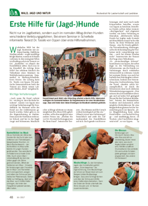 WALD, JAGD UND NATUR Maulschlinge: Zu den Verhaltens- regeln des Hundehalters gehört neben „Ruhe bewahren“ die Eigensicherung.