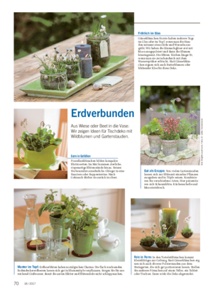 BLICK INS LAND Erdverbunden Aus Wiese oder Beet in die Vase: Wir zeigen Ideen für Tischdeko mit Wildblumen und Gartenstauden.