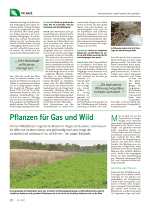 Wochenblatt für Landwirtschaft und LandlebenPFLANZE Pflanzen für Gas und Wild Können Wildpflanzen organische Masse für Biogas produzieren, Lebensraum für Wild und Insekten bieten und gleichzeitig noch das Image der Landwirtschaft verbessern?