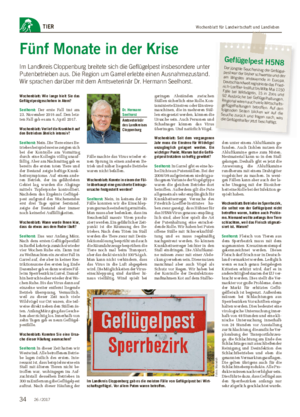 Wochenblatt für Landwirtschaft und LandlebenTIER Fünf Monate in der Krise Im Landkreis Cloppenburg breitete sich die Geflügelpest insbesondere unter Putenbetrieben aus.