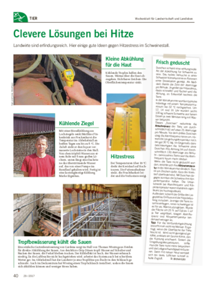 Wochenblatt für Landwirtschaft und LandlebenTIER Clevere Lösungen bei Hitze Landwirte sind erfindungsreich.