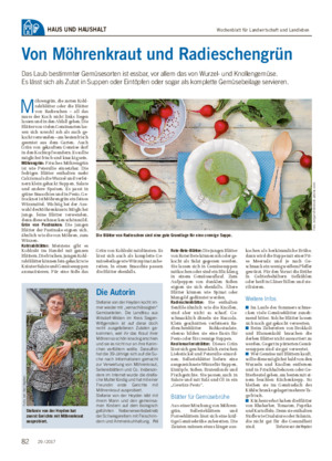 Wochenblatt für Landwirtschaft und LandlebenHAUS UND HAUSHALT Von Möhrenkraut und Radieschengrün Das Laub bestimmter Gemüsesorten ist essbar, vor allem das von Wurzel- und Knollengemüse.