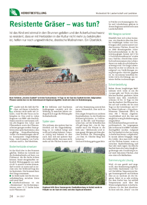 Wochenblatt für Landwirtschaft und LandlebenHERBSTBESTELLUNG Resistente Gräser – was tun?
