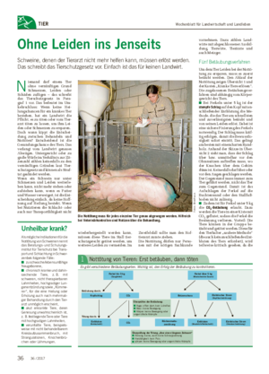 Wochenblatt für Landwirtschaft und LandlebenTIER Ohne Leiden ins Jenseits Schweine, denen der Tierarzt nicht mehr helfen kann, müssen erlöst werden.