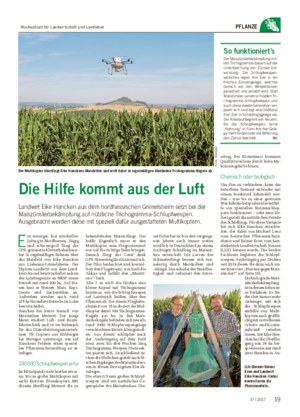 PFLANZE Die Hilfe kommt aus der Luft Landwirt Eike Hancken aus dem nordhessischen Grimelsheim setzt bei der Maiszünslerbekämpfung auf nützliche Trichogramma-Schlupfwespen.