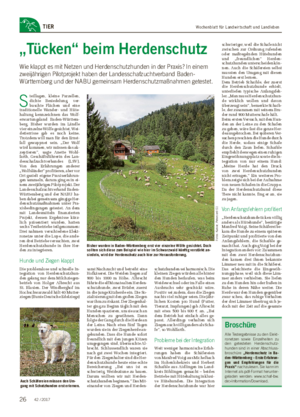 Wochenblatt für Landwirtschaft und LandlebenTIER „Tücken“ beim Herdenschutz Wie klappt es mit Netzen und Herdenschutzhunden in der Praxis?