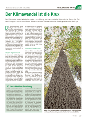 WALD, JAGD UND NATUR Der Klimawandel ist die Krux Das Klima setzt vielen heimischen Arten zu und bringt auch wuchsstarke Bäume in die Bredouille.
