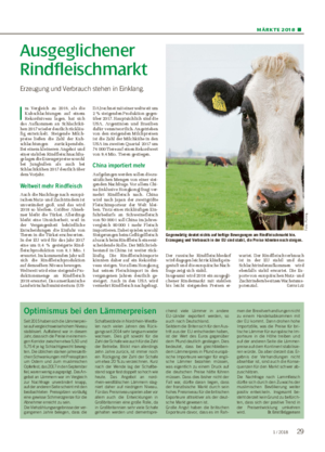 MÄRKTE 2018 ■ Ausgeglichener Rindfleischmarkt Erzeugung und Verbrauch stehen in Einklang.