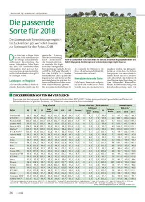 Die passende Sorte für 2018 Der überregionale Sortenleistungsvergleich für Zuckerrüben gibt wertvolle Hinweise zur Sortenwahl für den Anbau 2018.