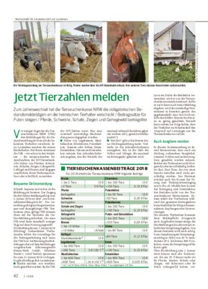 Jetzt Tierzahlen melden Zum Jahreswechsel hat die Tierseuchenkasse NRW die obligatorischen Be- standsmeldebögen an die heimischen Tierhalter verschickt / Beitragssätze für Puten steigen / Pferde, Schweine, Schafe, Ziegen und Gehegewild beitragsfrei V or einigen Tagen hat die Tier- seuchenkasse NRW (TSK) den Meldebogen für die Be- standsmeldung 2018 an alle ihr be- kannten Tierhalter verschickt.