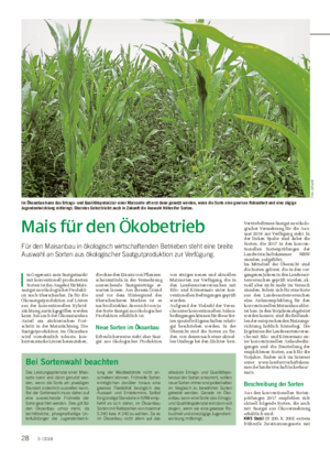 Mais für den Ökobetrieb Für den Maisanbau in ökologisch wirtschaftenden Betrieben steht eine breite Auswahl an Sorten aus ökologischer Saatgutproduktion zur Verfügung.
