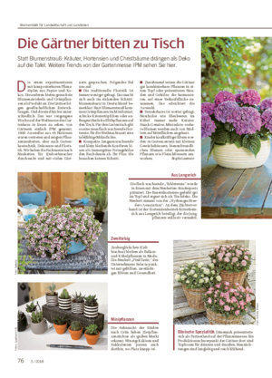 Die Gärtner bitten zu Tisch Statt Blumenstrauß: Kräuter, Hortensien und Christbäume drängen als Deko auf die Tafel.