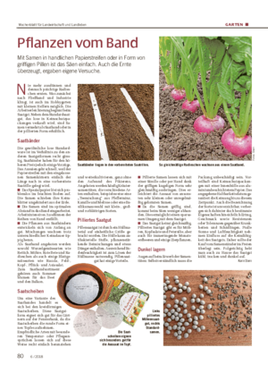 GARTEN ■■ Pillierte Samen lassen sich mit einer Särolle oder per Hand dank der griffigen kugeligen Form sehr gleichmäßig ausbringen.