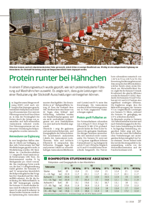 TIER ■ Protein runter bei Hähnchen In einem Fütterungsversuch wurde geprüft, wie sich proteinreduzierte Fütte- rung auf Masthähnchen auswirkt.