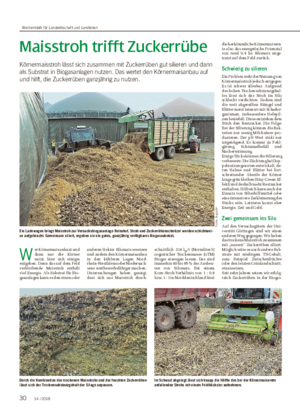 Maisstroh trifft Zuckerrübe Körnermaisstroh lässt sich zusammen mit Zuckerrüben gut silieren und dann als Substrat in Biogasanlagen nutzen.