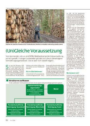 (Un)Gleiche Voraussetzung Vom kommenden Jahr an sind NRWs Waldbesitzer bei der Holzvermarktung auf sich gestellt.