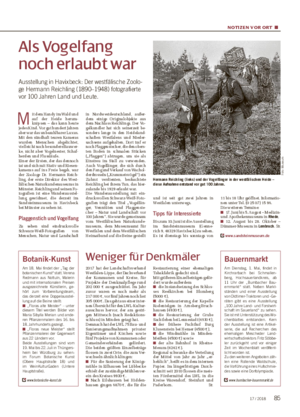 NOTIZEN VOR ORT ■ Als Vogelfang noch erlaubt war Ausstellung in Havixbeck: Der westfälische Zoolo- ge Hermann Reichling (1890–1948) fotografierte vor 100 Jahren Land und Leute.