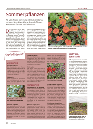 GARTEN ■ Ziergarten Verblühtes entfernen Bei Rhododendren und Azaleen werden verwelkte Blütenstände he- rausgebrochen.