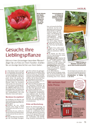 GARTEN ■ Gesucht: Ihre Lieblingspflanze Gibt es in Ihren Grünanlagen besondere Pflanzen?
