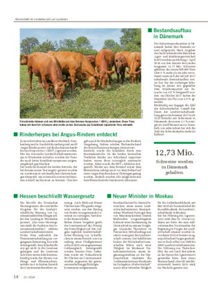 ■ Rinderherpes bei Angus-Rindern entdeckt In zwei Betrieben im Landkreis Waldeck-Fran- kenberg und in Hersfeld-Rotenburg sind zwölf Angus-Rinder positiv auf das hochansteckende Bovine Herpesvirus 1 (BHV1) getestet worden.