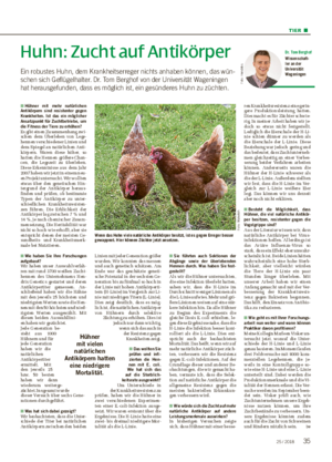 TIER ■ Huhn: Zucht auf Antikörper Ein robustes Huhn, dem Krankheitserreger nichts anhaben können, das wün- schen sich Geflügelhalter.
