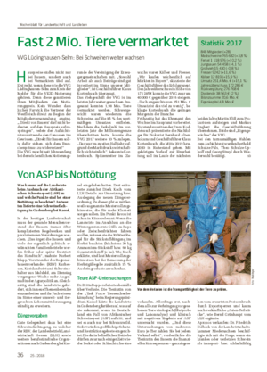 Von ASP bis Nottötung Was kommt auf die Landwirte beim Ausbruch der Afrikani­ schen Schweine pest (ASP) zu und welche Punkte sind bei einer Nottötung zu beachten?