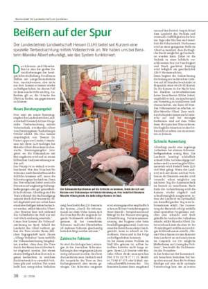 Beißern auf der Spur Der Landesbetrieb Landwirtschaft Hessen (LLH) bietet seit Kurzem eine spezielle Tierbeobachtung mittels Videotechnik an.