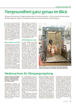 BETRIEB UND MARKT ■ Tiergesundheit ganz genau im Blick QS berechnet jetzt einen Tiergesundheitsindex für Schlachtschweine.