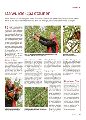 GARTEN ■ Da würde Opa staunen Wenn Baumschulchef Georg Fels seinen Kursteilnehmern den fachgerechten Obstbaumschnitt erklärt, räumt er mit alten Gärtnerweisheiten auf.
