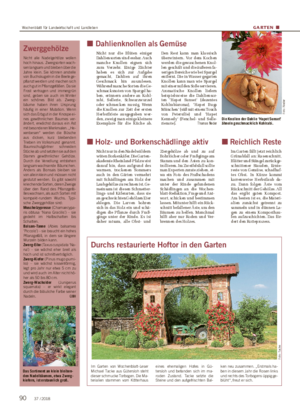 GARTEN ■ Durchs restaurierte Hoftor in den Garten Im Garten von Wochenblatt-Leser Michael Tacke aus Gütersloh steht dieser schmucke Torbogen.