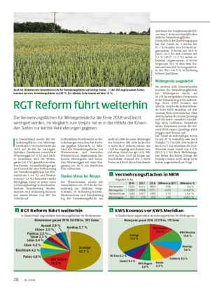 RGT Reform führt weiterhin Die Vermehrungsflächen für Wintergetreide für die Ernte 2018 sind leicht verringert worden.