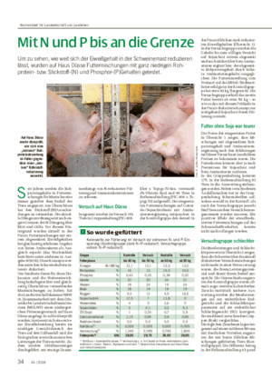 Mit N und P bis an die Grenze Um zu sehen, wie weit sich der Eiweißgehalt in der Schweinemast reduzieren lässt, wurden auf Haus Düsse Futtermischungen mit ganz niedrigen Roh­ protein­ bzw.