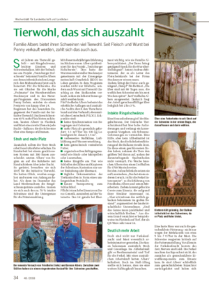Tierwohl, das sich auszahlt Familie Albers bietet ihren Schweinen viel Tierwohl.