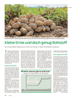 Kleine Ernte und doch genug Rohstoff Das Ausnahmejahr 2018 wird auch 2019 noch Spuren im Markt für Kartoffeln hinterlassen.