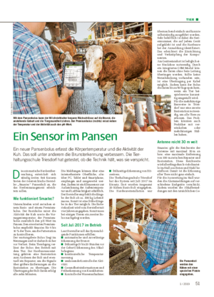 TIER ■ Ein Sensor im Pansen Ein neuer Pansenbolus erfasst die Körpertemperatur und die Aktivität der Kuh.