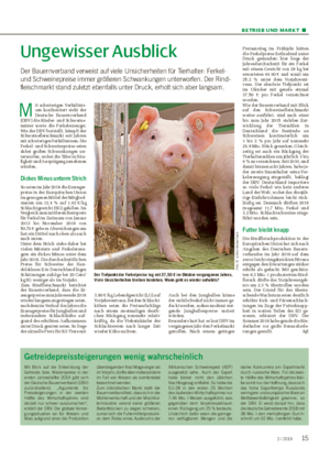 BETRIEB UND MARKT ■ Ungewisser Ausblick Der Bauernverband verweist auf viele Unsicherheiten für Tierhalter: Ferkel- und Schweinepreise immer größeren Schwankungen unterworfen.