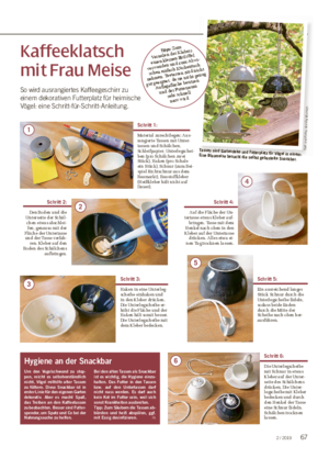 BLICK INS L AND ■ Kaffeeklatsch mit Frau Meise So wird ausrangiertes Kaffeegeschirr zu einem dekorativen Futterplatz für heimische Vögel: eine Schritt-für-Schritt-Anleitung.