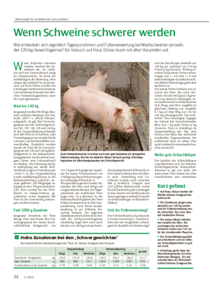 Wenn Schweine schwerer werden Wie entwickeln sich eigentlich Tageszunahmen und Futterverwertung bei Mastschweinen jenseits der 120-kg-Gewichtsgrenze?