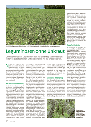 Leguminosen ohne Unkraut Unkräuter mindern in Leguminosen nicht nur den Ertrag.
